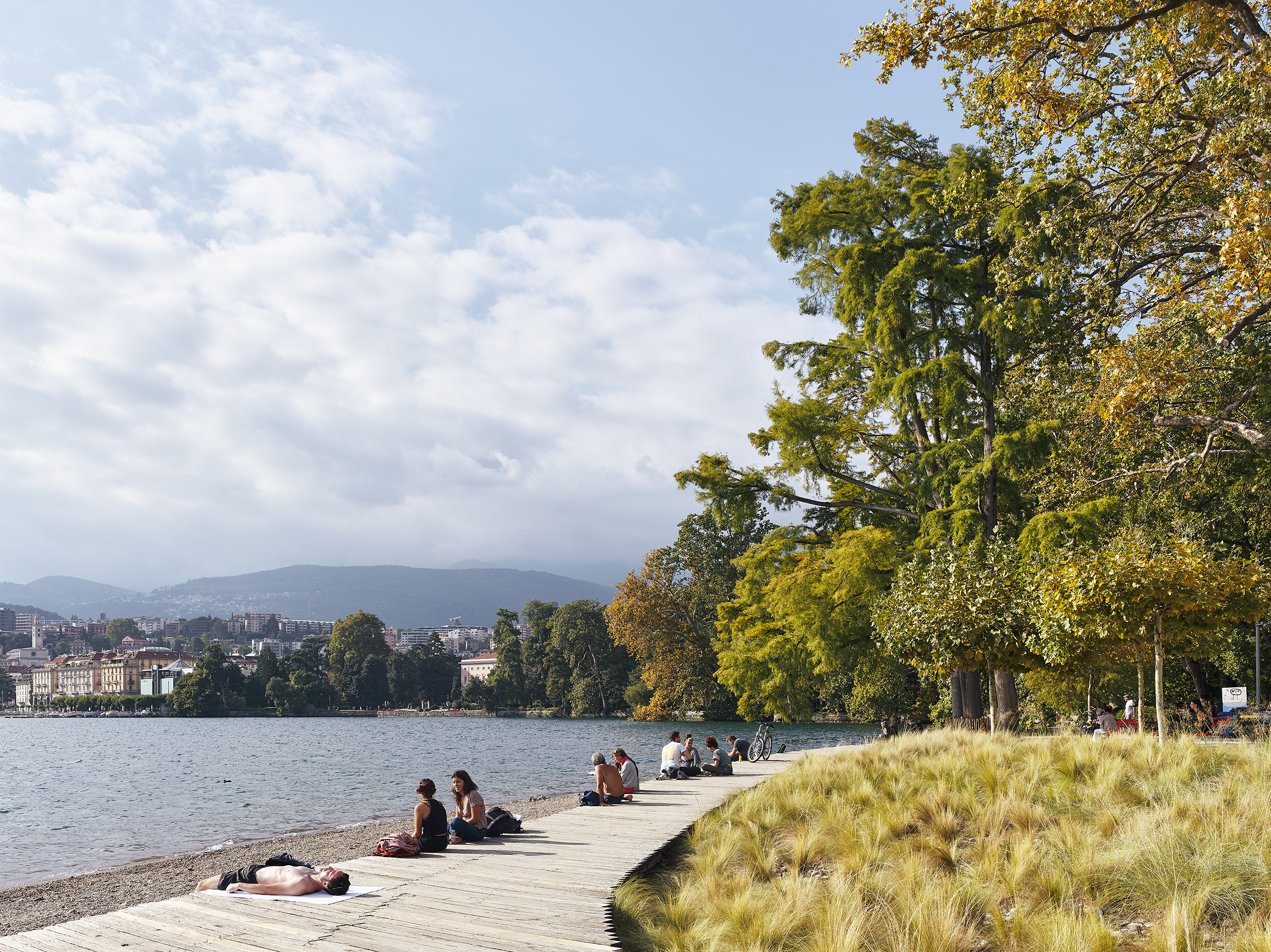 Ahp0053 CASS AIQ4 002430 C